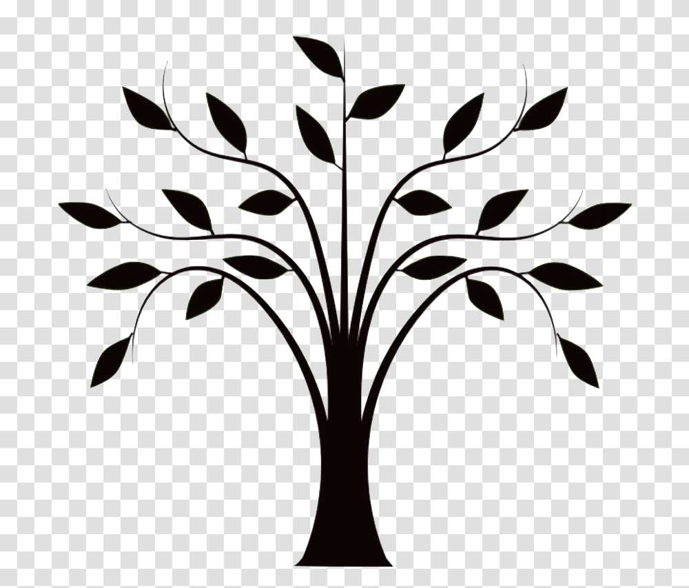 Family Tree Leaf Pattern, Plant, Floral Design Transparent Png