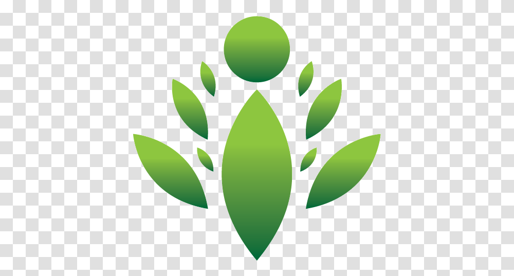 Family Tree Maker Android Family Tree Maker App, Green, Leaf, Plant, Pottery Transparent Png