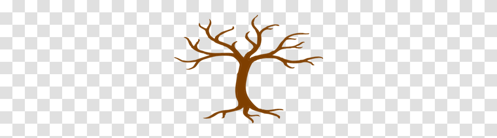 Family Tree No Names Clip Art, Plant, Root, Nature, Tree Trunk Transparent Png