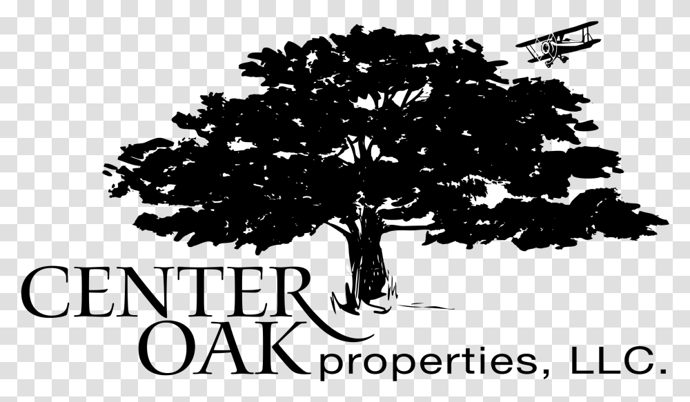 Family Tree Realty Amp Investments Inc, Silhouette, Leaf, Plant, Outdoors Transparent Png