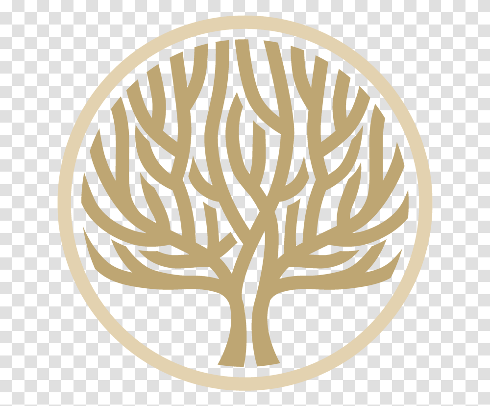 Family Tree Service Icon, Logo, Symbol, Trademark, Emblem Transparent Png
