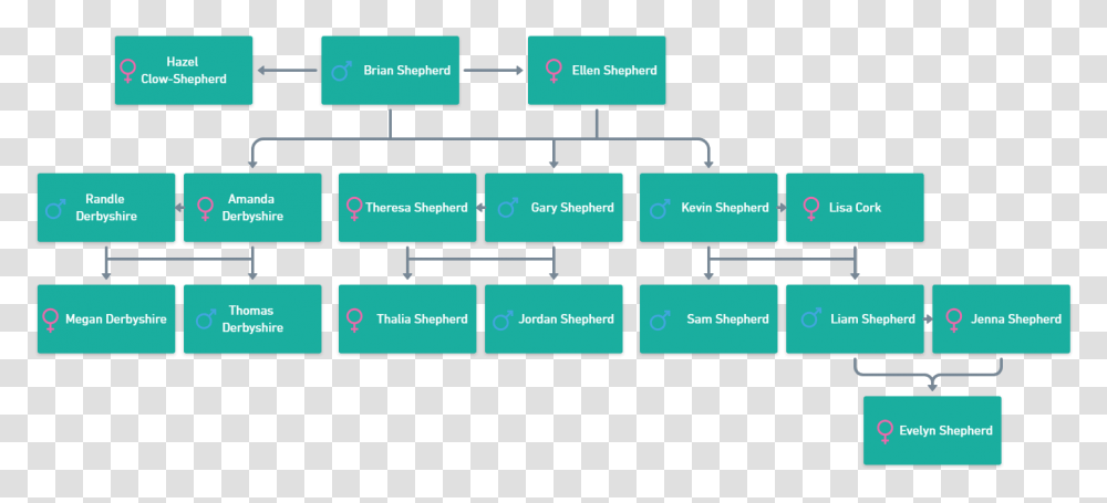 Family Tree Shepherd Vertical, Scoreboard, Text, Plot, Diagram Transparent Png