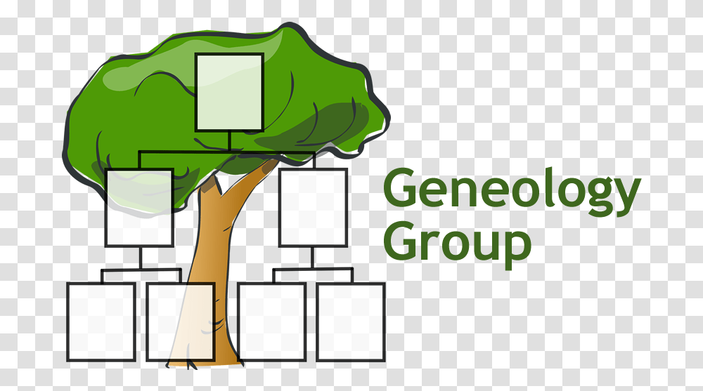 Family Tree Template Clipart Small Blank Family Tree, Plant, Vegetation, Rainforest Transparent Png