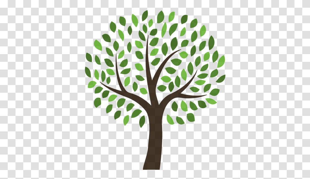 Family Tree Template, Green, Plant Transparent Png