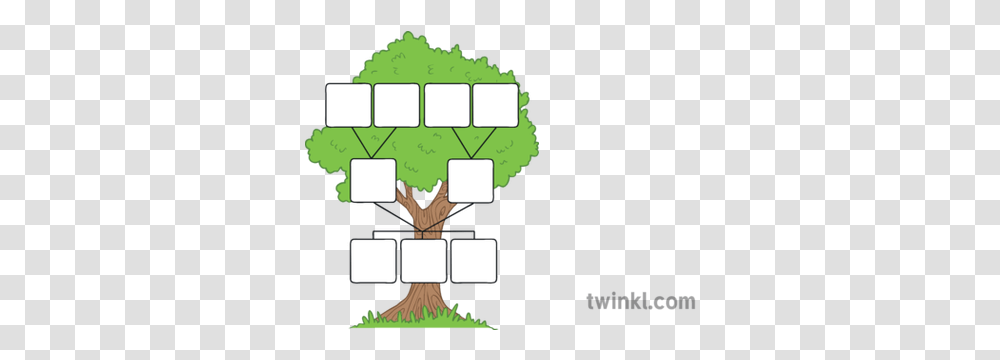 Family Tree Template Illustration Twinkl Family Tree Template Spanish, Vegetation, Plant, Text, Minecraft Transparent Png