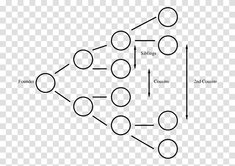 Family Tree To Second Cousin, Plot, Network, Diagram Transparent Png