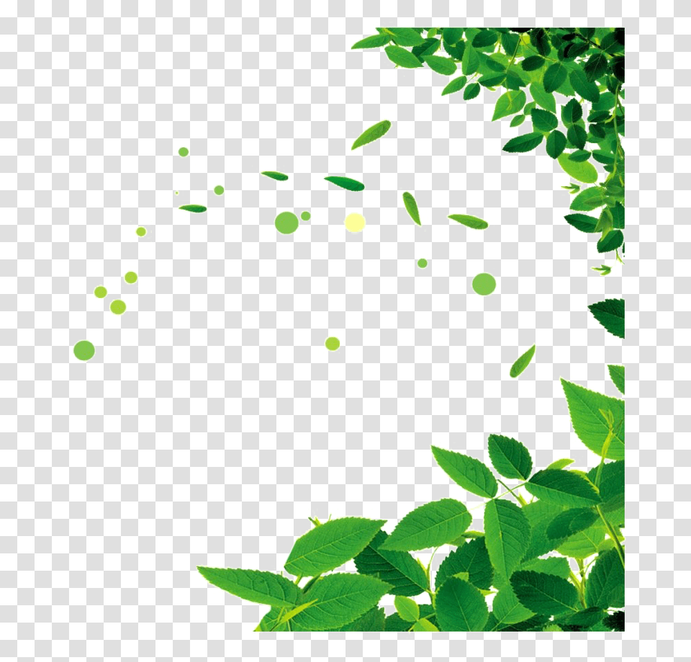 Famine Clipart Green Leaf Frame, Vegetation, Plant, Potted Plant, Vase Transparent Png