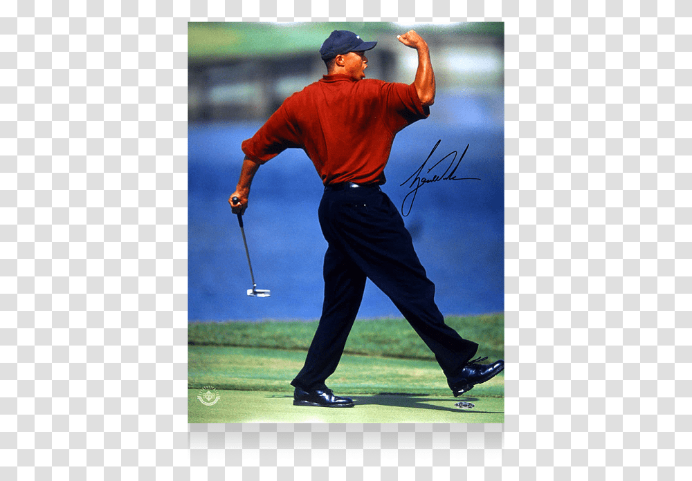 Famous Tiger Woods Fist Pump Poster, Person, Human, Sport, Sports Transparent Png
