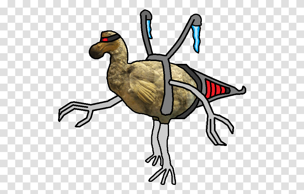 Fan Kaiju Wikia Animal Figure, Bird, Dodo Transparent Png
