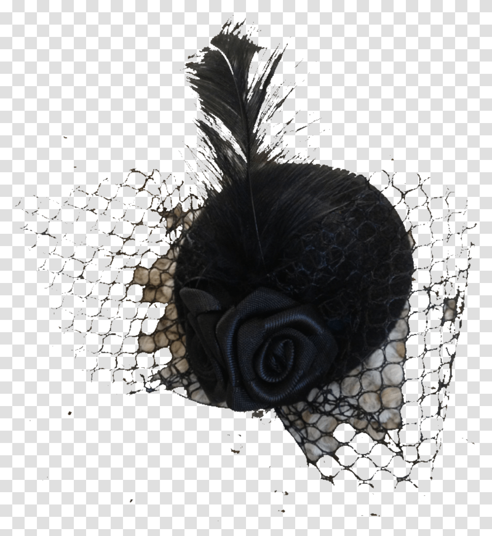 Fancy Hat Background, Plant, Flower, Animal, Mammal Transparent Png