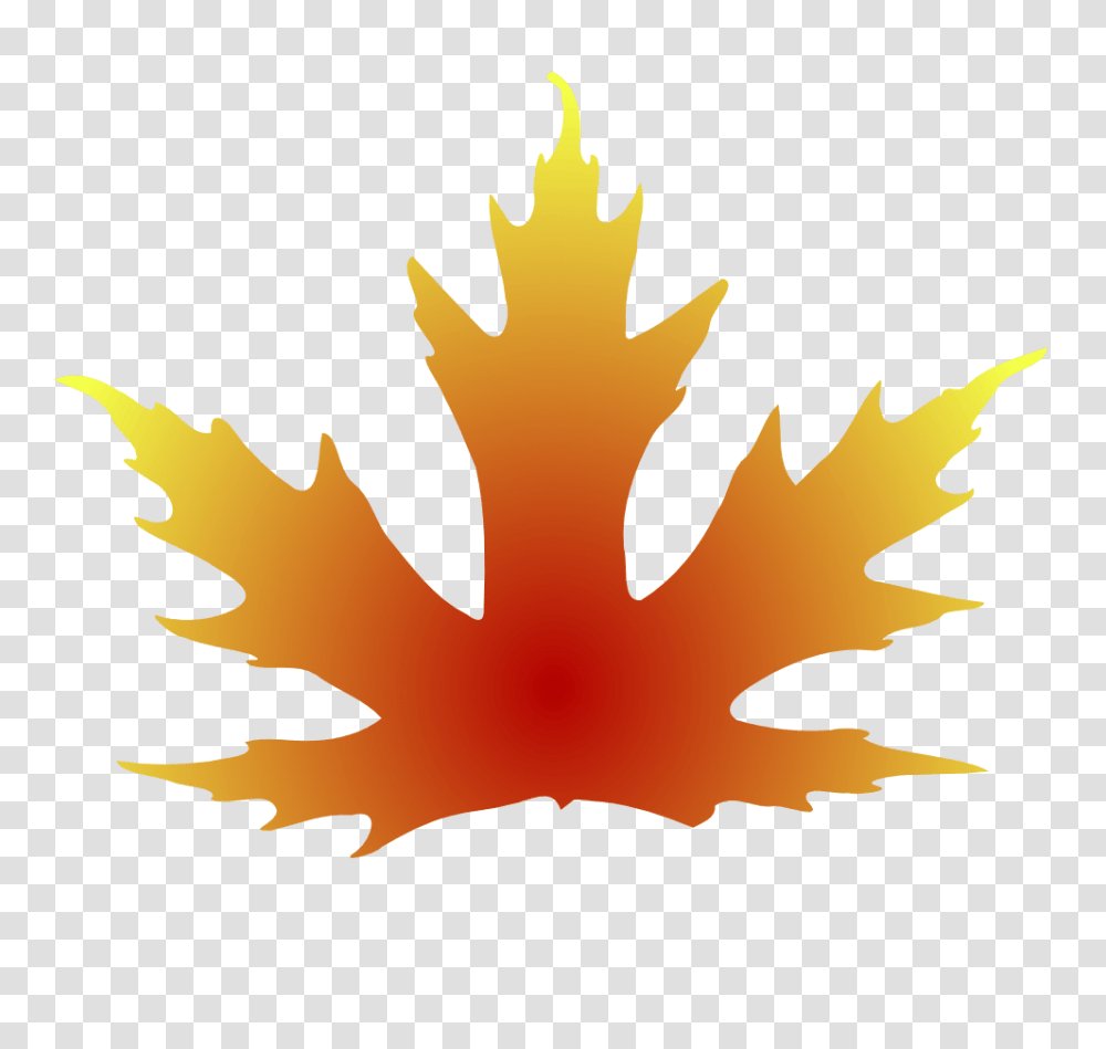 Fancy Leaf Cliparts, Plant, Tree, Maple, Maple Leaf Transparent Png