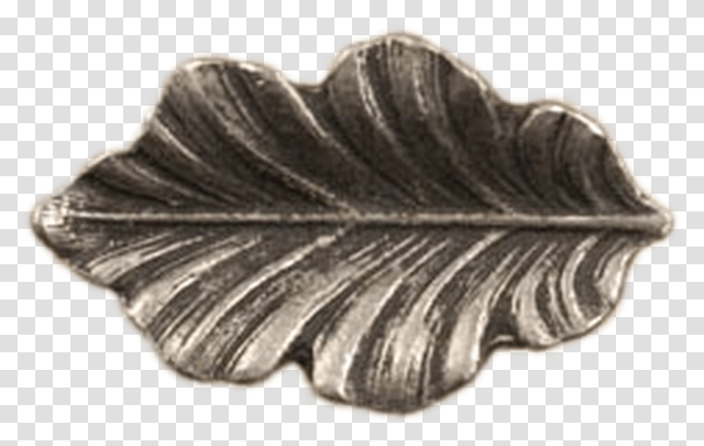 Fancy Oak Leaf Sm Knob Maple Leaf, Fossil, Coin, Money, Plant Transparent Png