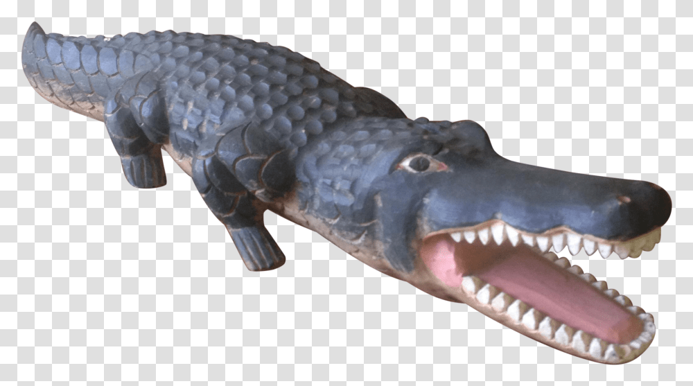 Fang, Animal, Fish, Reptile, Sea Life Transparent Png