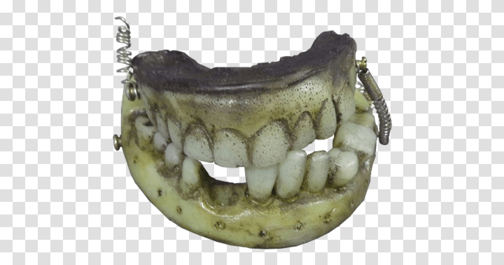 Fang, Jaw, Teeth, Mouth, Lip Transparent Png