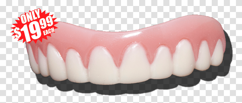 Fangs, Teeth, Mouth, Lip, Jaw Transparent Png