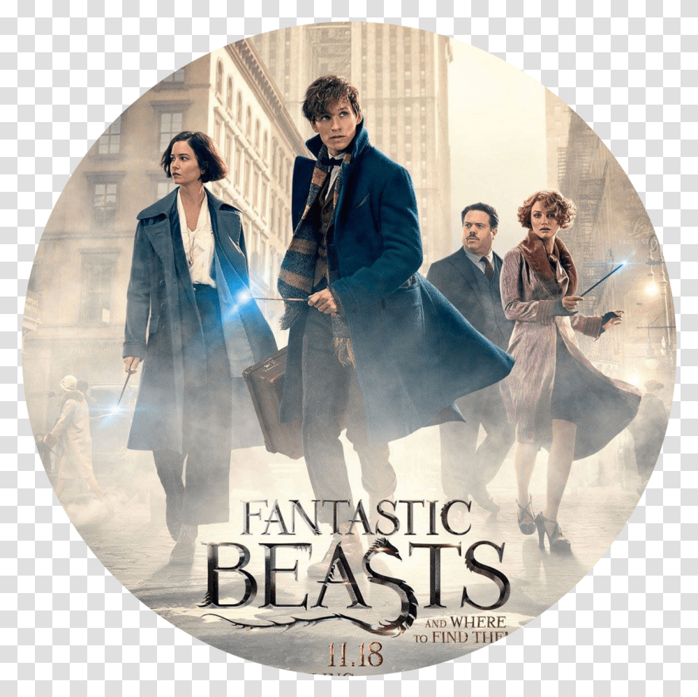 Fantastic Beasts, Disk, Person, Human, Dvd Transparent Png