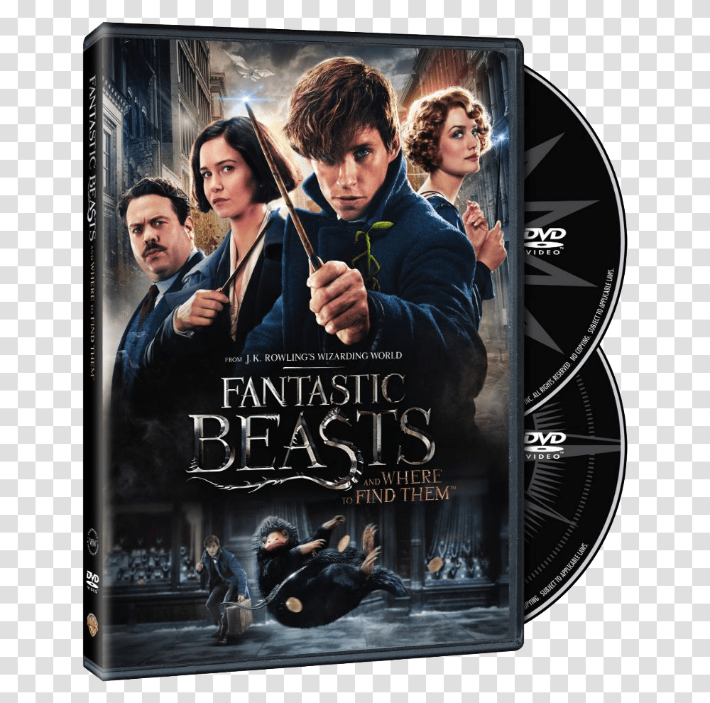Fantastic Beasts Dvd, Person, Human, Poster, Advertisement Transparent Png