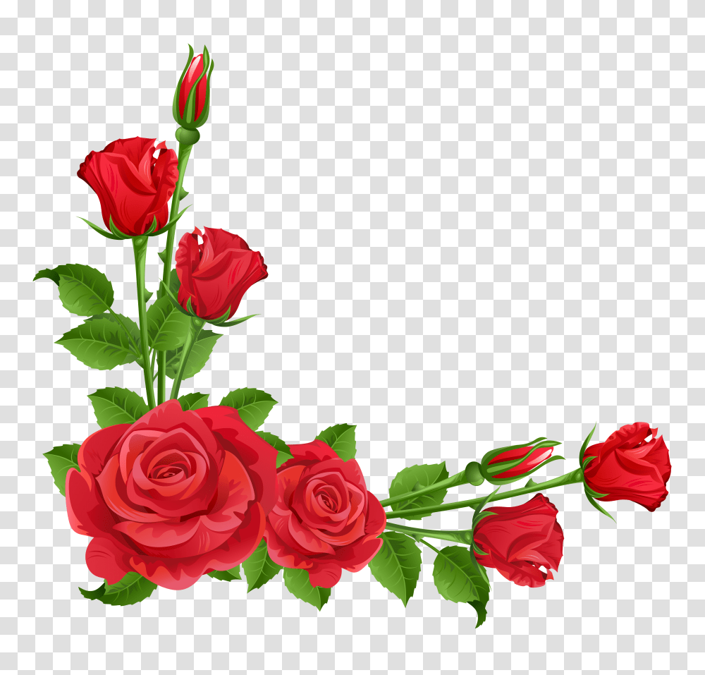 Fantastic Roses Clipart, Plant, Flower, Blossom, Flower Bouquet Transparent Png