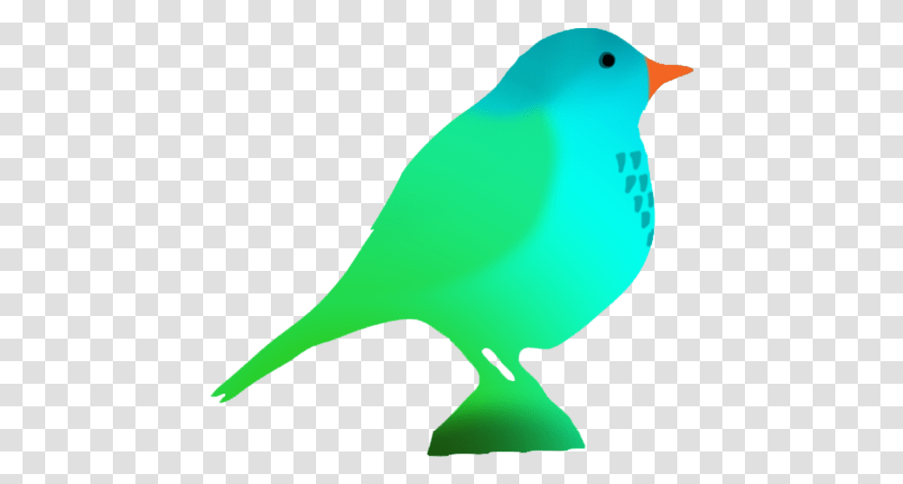 Fantasy Colored Bird Silhouette Colorful Bird Silhouette On, Animal, Parakeet, Parrot, Canary Transparent Png