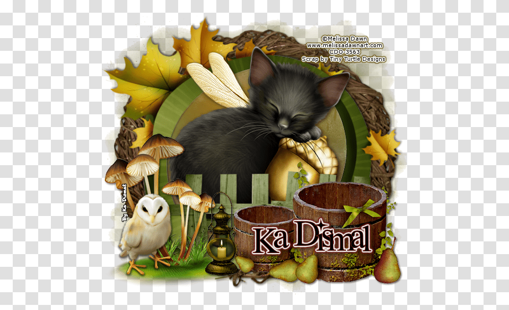 Fantasy Frame Kitten, Advertisement, Bird, Animal, Poster Transparent Png