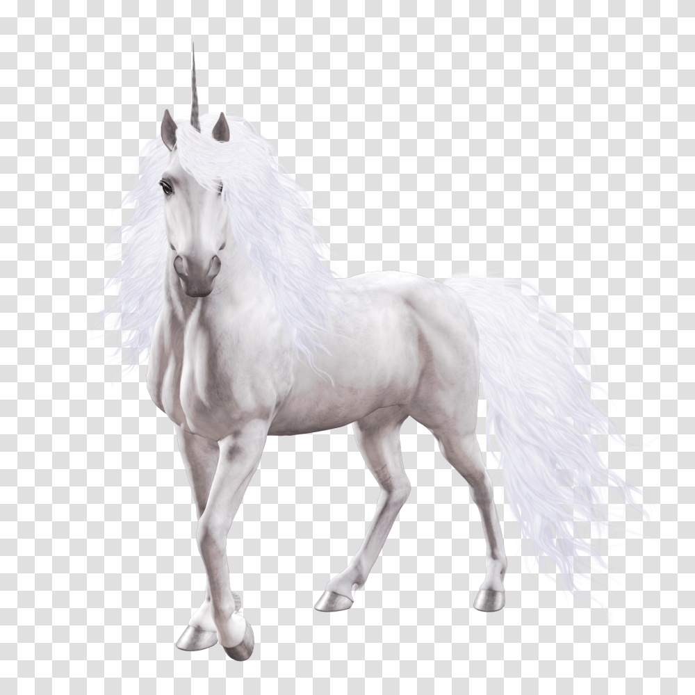 Fantasy, Horse, Mammal, Animal Transparent Png