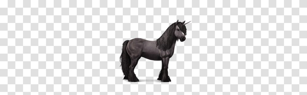 Fantasy, Horse, Mammal, Animal Transparent Png