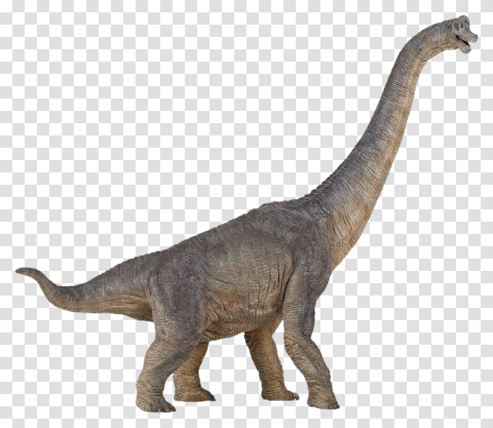 Fantasy, T-Rex, Dinosaur, Reptile Transparent Png