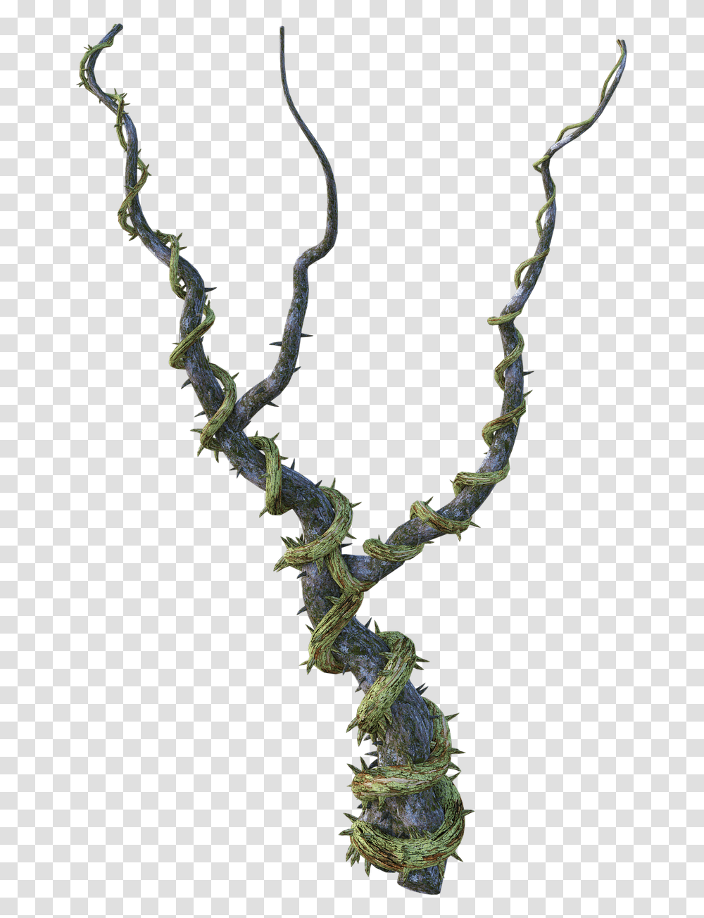 Fantasy Vine, Pattern, Fractal, Ornament, Fern Transparent Png