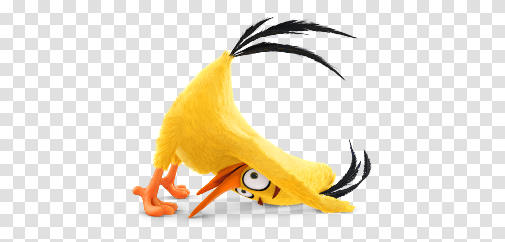 Faq Angry Birds Vr - Resolution Games Fictional Character, Animal, Peel, Plant, Beak Transparent Png