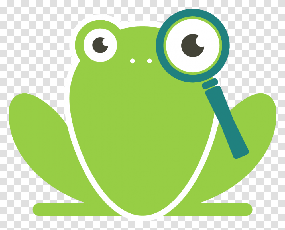 Faq Glassfrogg Bufo, Tennis Ball, Sport, Sports, Amphibian Transparent Png