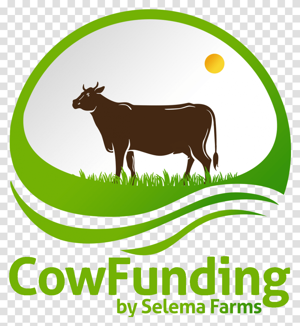 Faqs - Cowfunding By Selema Farms Dairy Cow, Mammal, Animal, Cattle, Antelope Transparent Png
