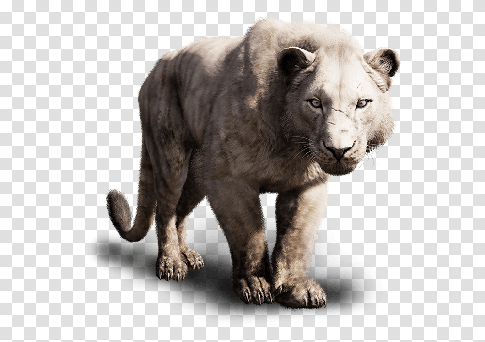 Far Cry Primal Animals, Lion, Wildlife, Mammal, Panther Transparent Png