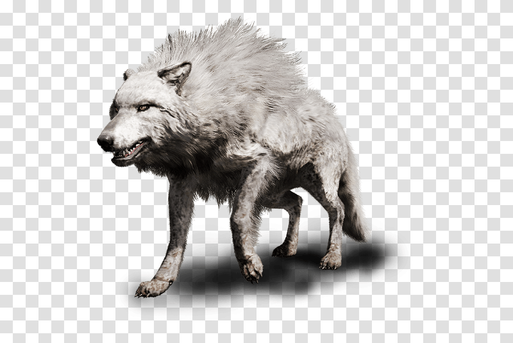 Far Cry Primal Clipart Clip Art Royalty Free Stock Far Cry Primal Animals, Wolf, Mammal, Dog, Pet Transparent Png