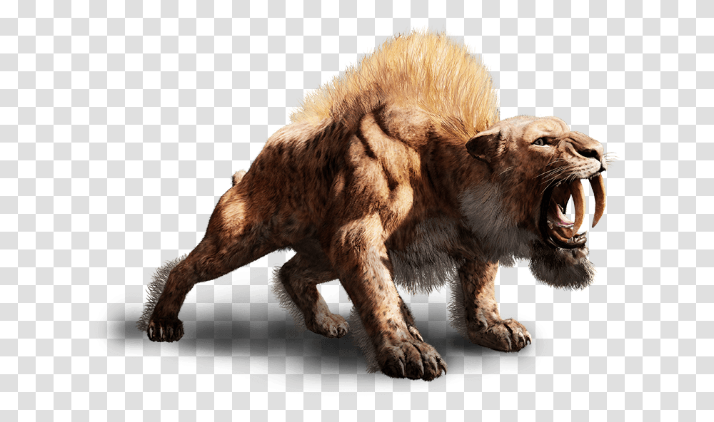 Far Cry Primal Smilodon Far Cry Primal, Lion, Wildlife, Mammal, Animal Transparent Png