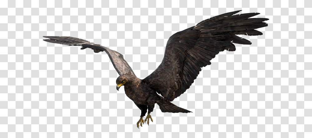 Far Cry Wiki Golden Eagle, Bird, Animal, Vulture, Flying Transparent Png