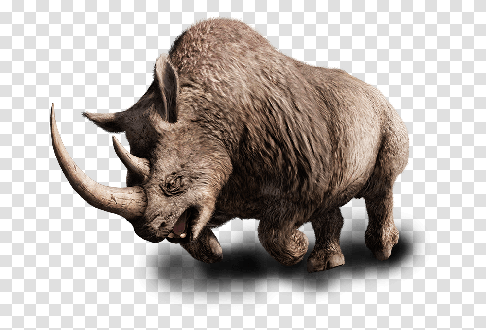 Far Cry Wiki Wooly Rhino Far Cry, Animal, Mammal, Bull, Wildlife Transparent Png