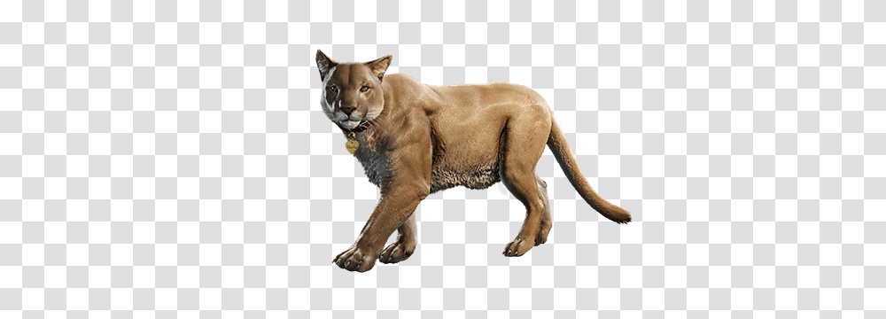 Far Cry, Wildlife, Animal, Mammal, Cougar Transparent Png