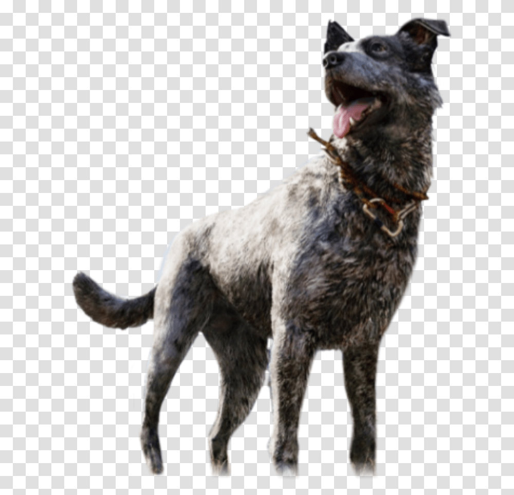 Farcry Boomer Dog Pumkinfarm Far Cry 5 Boomer, Pet, Canine, Animal, Mammal Transparent Png