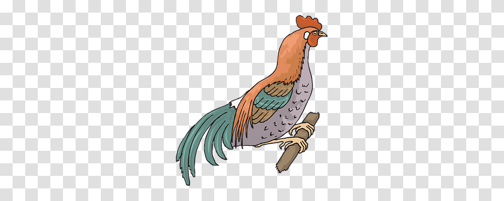 Farm Animals, Bird, Fowl, Poultry Transparent Png