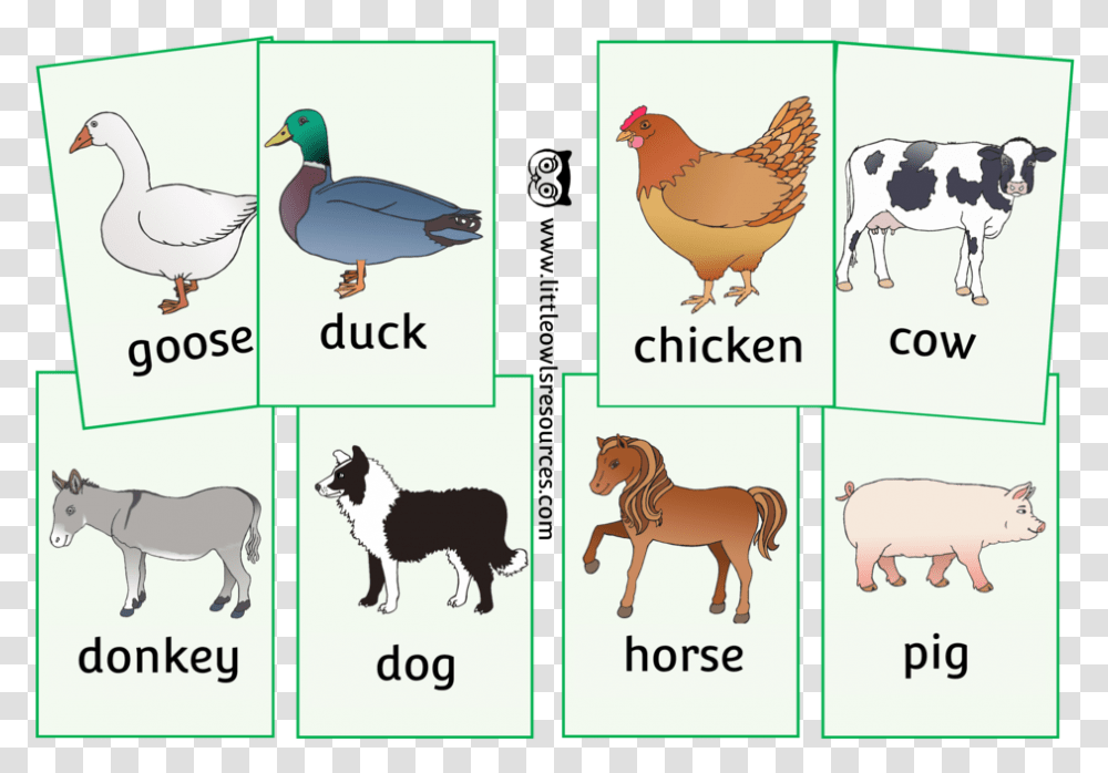 Farm Animals Picture Snap Card Game Animal Cards Free Printable, Chicken, Poultry, Fowl, Bird Transparent Png