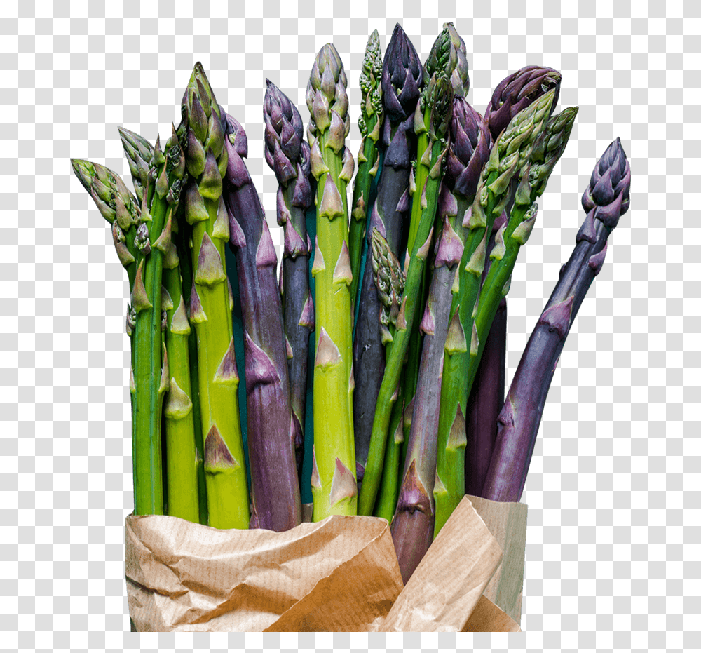 Farm Direct Supply Asparagus, Plant, Vegetable, Food Transparent Png