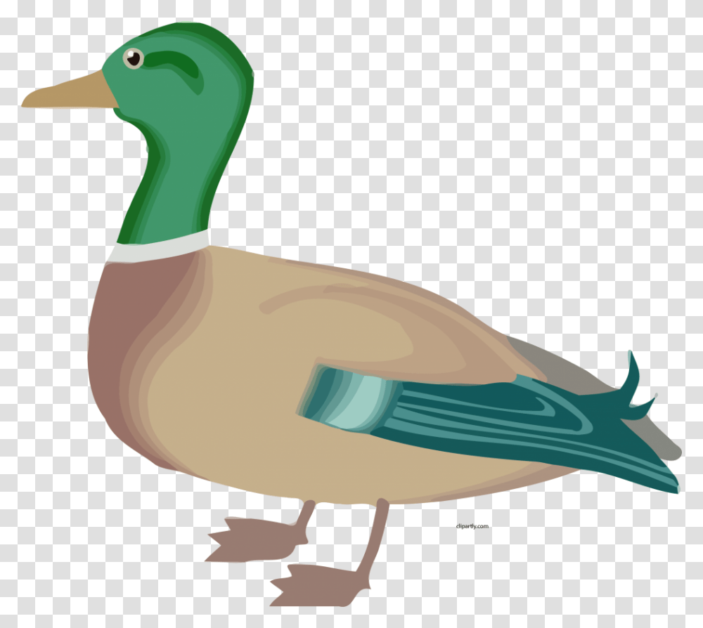 Farm Duck Clipart, Bird, Animal, Hammer, Tool Transparent Png