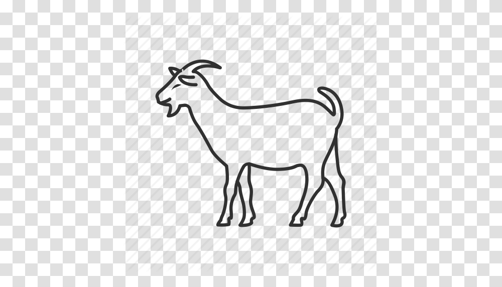 Farm Goat Goatee Livestock Mammal Ram Sheep Icon, Wildlife, Animal, Deer, Antelope Transparent Png