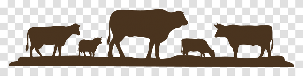 Farm Info Reese Cattle Grain And Cattle As Money, Cow, Mammal, Animal, Bull Transparent Png