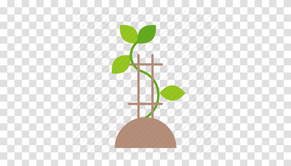 Farm Seedling Sprout Tree Young Plant Icon, Green, Lamp, Flower, Leaf Transparent Png