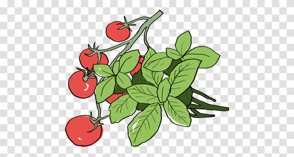Farmbrothers Sharing The Good Stuff, Plant, Leaf, Fruit, Food Transparent Png