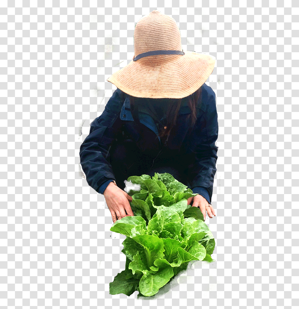 Farmer Spring Greens, Hat, Plant, Person Transparent Png