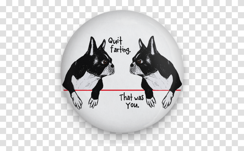 Farting Boston Terriers Magnet Boston Terrier, Dog, Pet, Canine, Animal Transparent Png
