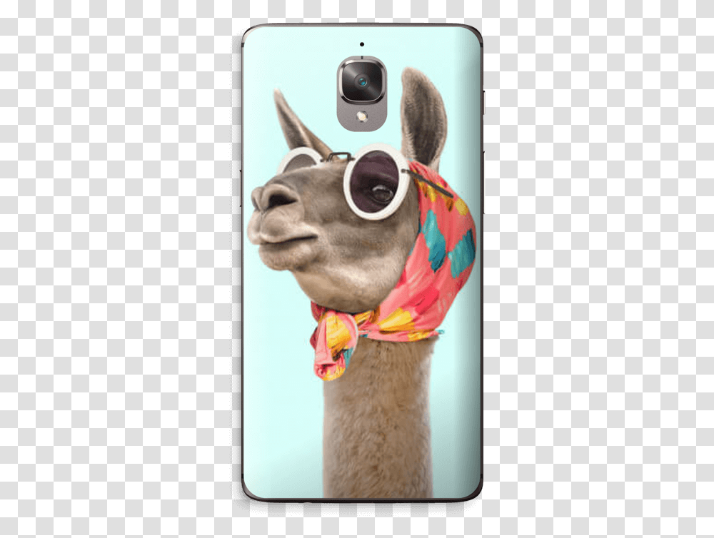 Fashion Llama Skin Oneplus, Mammal, Animal, Mouse, Hardware Transparent Png