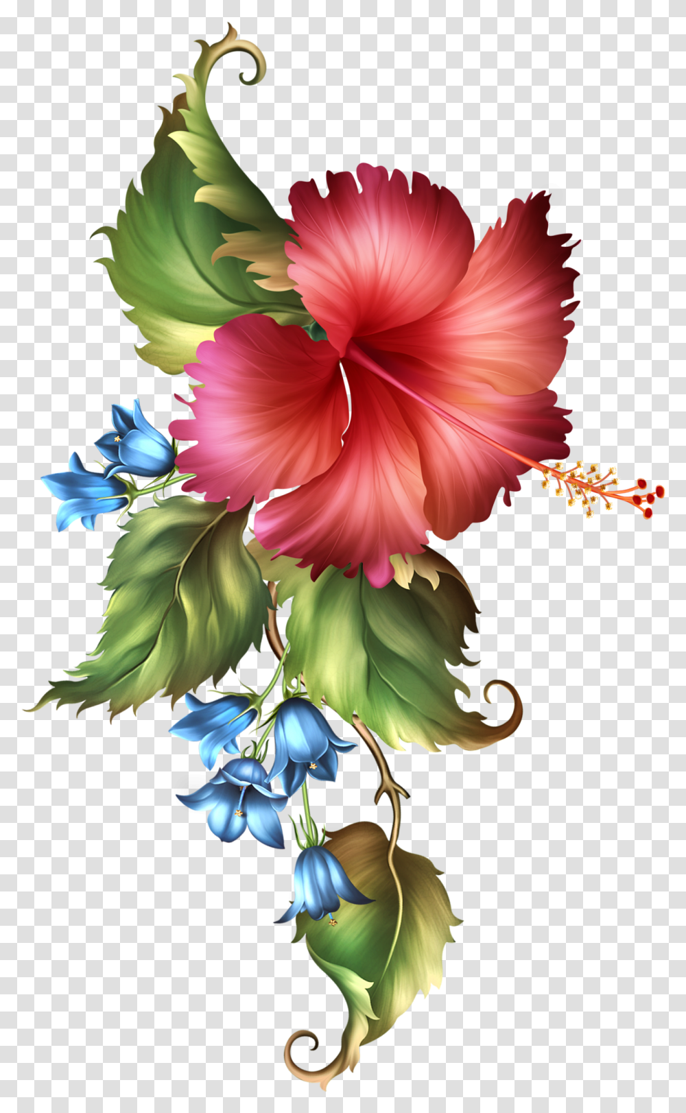 Fashionably Florale Hoe Simply Beautiful Flora Frames Cuadro De Pinturas, Plant, Flower, Blossom, Hibiscus Transparent Png